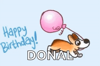 Corgi Blowing Pink Bubblegum Balloon GIF