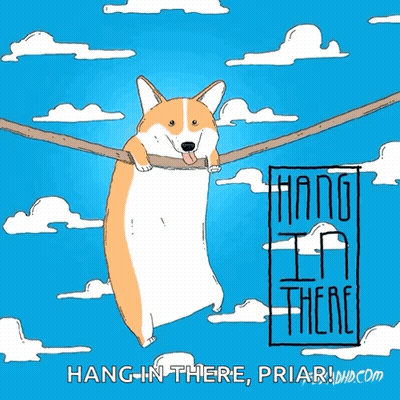 Corgi Hanging From Rope GIF