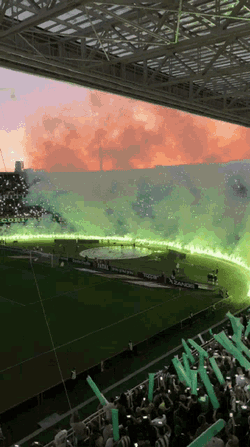 Coritiba Coxa GIF