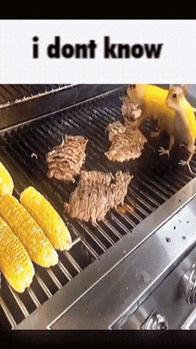 Bbq GIFs