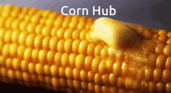 Corn Hub  GIF