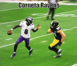 Corneta Ravens Owns Stellars Fans GIF