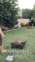 Cornhole Swish King GIF