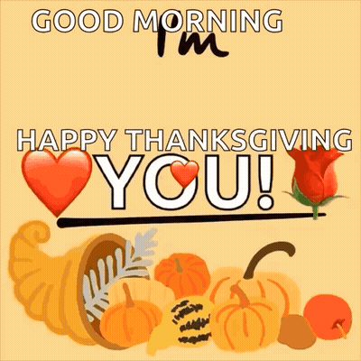 Cornucopia With Pumpkins And Rose Happy Thanksgiving GIF