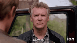 Correct Thats Like Your Opinion Man  GIF