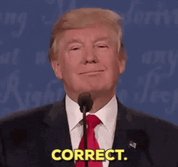 Correct Thats Right Donald Trump Meme GIF