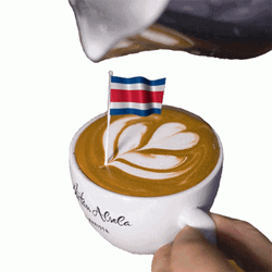 Costa Rica Flag Latte Art