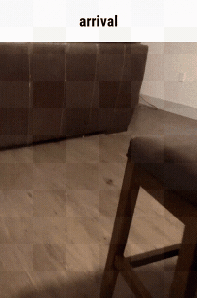 Couch and Chair With Arrival