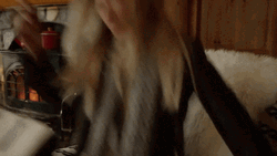 Couch Comfort Of The Girl GIF