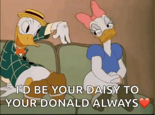 Couch Donald Duck GIF