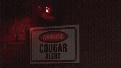 Cougar Alert Warning Sign On Brick Wall GIF