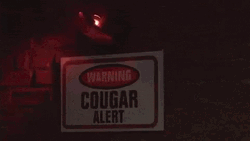 Cougar Alert Warning Sign Rorating Light GIF