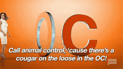 Cougar Kelly OC Animal Control Commercial GIF