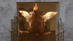 Counter Strike Global Offensive Chicken Flying GIF