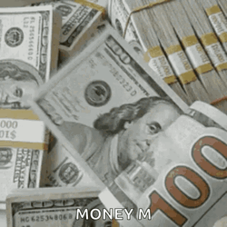 Counting 100 Dollar Bills GIF