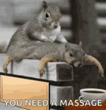 Couple Back Massage Sweet Squirrels Meme GIF