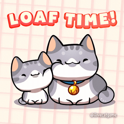 Couple Cats Sitting Together Loaf Time GIF