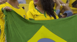 Couple Cheering For Brazil Team GIF