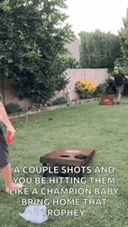 Couple Cornhole Shots Hitting Them Like Champions GIF