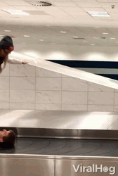 Couple Exhibition Inside Airport Conveyor Belt GIF