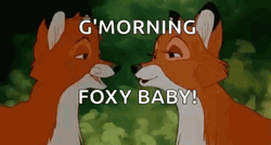Couple Foxy Baby GIF