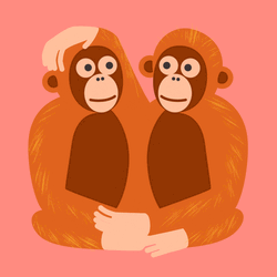 Couple Monkey Kissing Digital Art  GIF