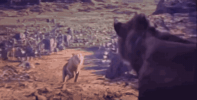 Couple Of Horses On A Dirt Hill GIF