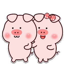Couple Pig Walking GIF