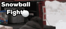 Couple Playing Snowball Fight GIF