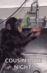 Cousin Monkey Date Night GIF