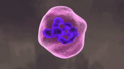 Covid Coronavirus GIF
