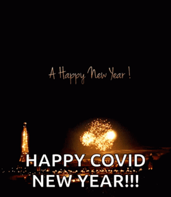 Covid Happy New Year Meme GIF