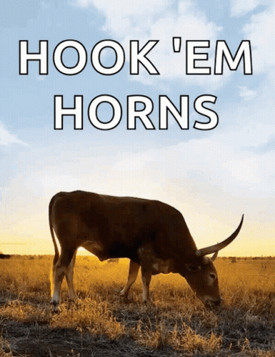 Cow Hook Em Horns GIF