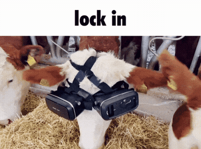 Cow In Harness And VR Glasses Says Lock In GIF