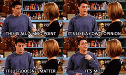 Cow's Opinion Joey
