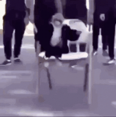 Cow Sitting In High Chair With People Walking Behind GIF