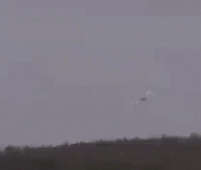 Cow Standing In Field Saying Nicht So Tief GIF