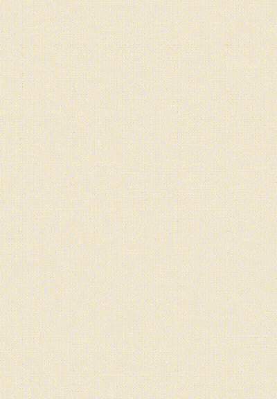 Cow Standing In Field With Fence And Cherry Blossom Tree GIF