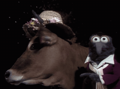 Cow Wearing Straw Hat Next To Bird GIF