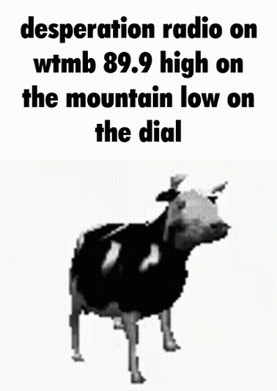 Cow With Desperation Radio WMTB 89.9 High Low GIF