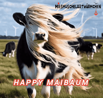 Cow with Long Hair Happy Maibaum
