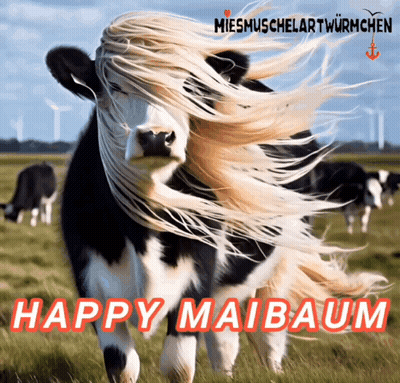 Cow with Long Hair Happy Maibaum