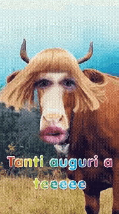 Cow With Man's Face And Wig GIF