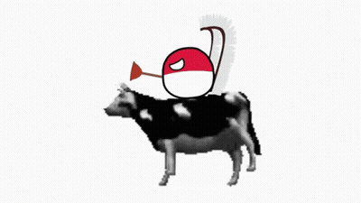 Cow With Red And White Ball On Back GIF