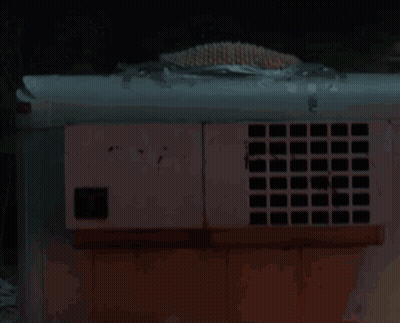 Cow With Red Lips Blowing Kiss GIF