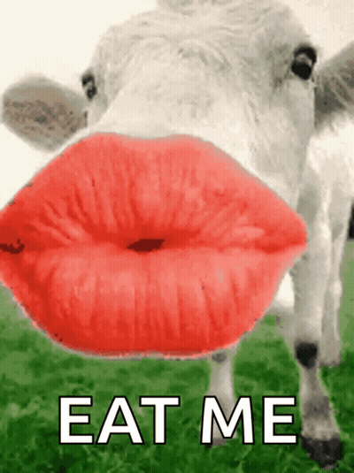 Cow With Red Lips Eat Me GIF
