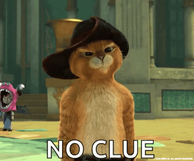 Cowboy Cat Saying No Clue GIF