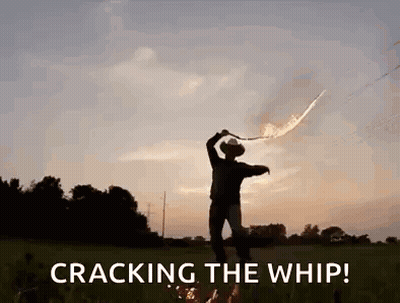 Cowboy Cracking Whip In Field At Sunset GIF