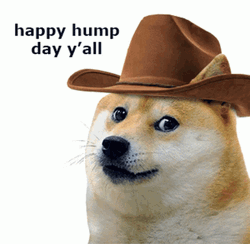 Cowboy Dog Happy Hump Day  GIF