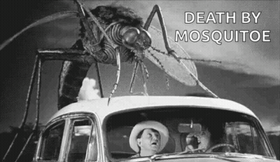 Cowboy Driving Car With Mosquito On Top GIF